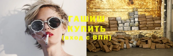 молекула духа Козельск
